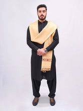 Kashmiri Khakhi Satrangi Shawl