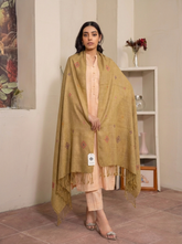 Pashmina Embroided Brown