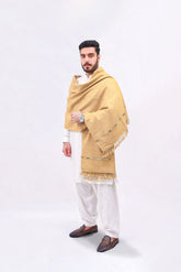 Brown Pashmina Shawl